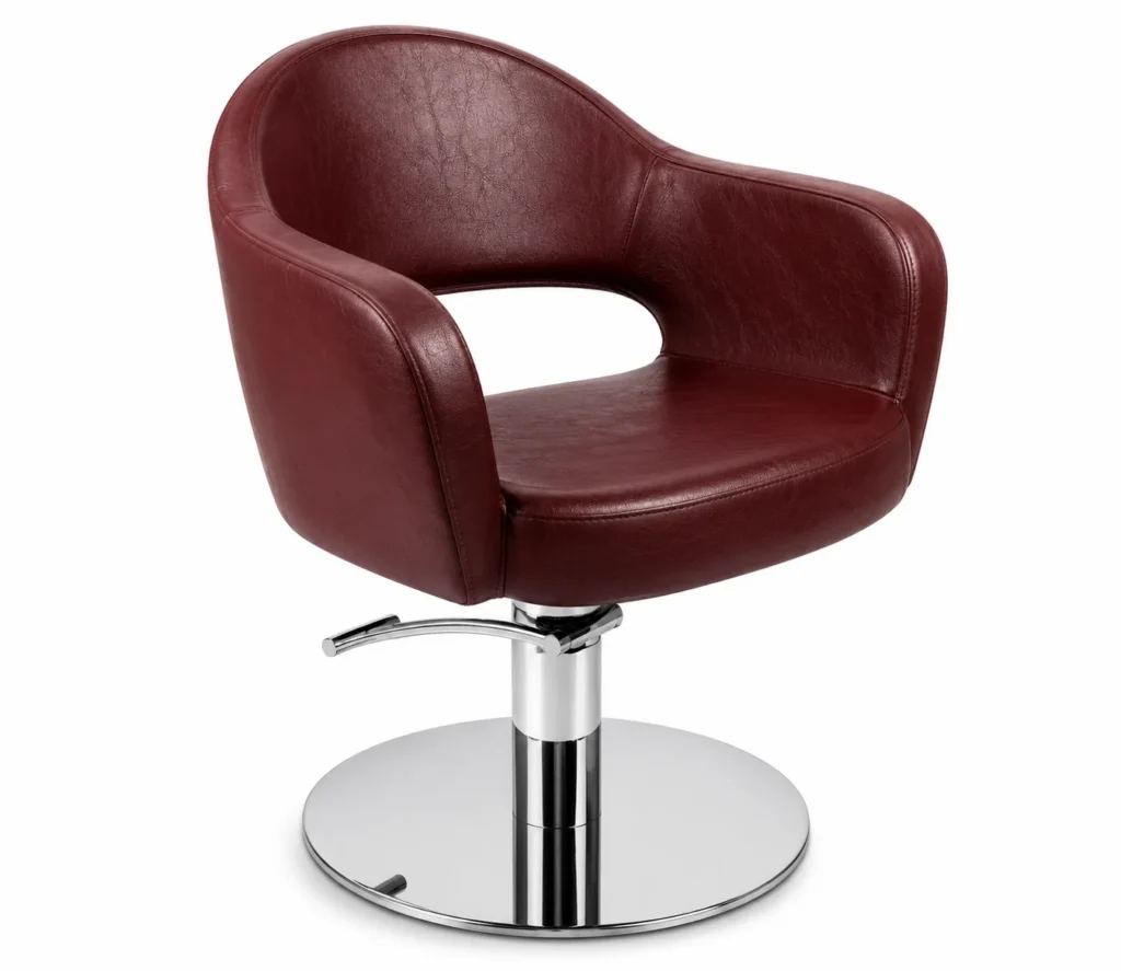 Vintage Burgundy Premium Salon Styling Chair